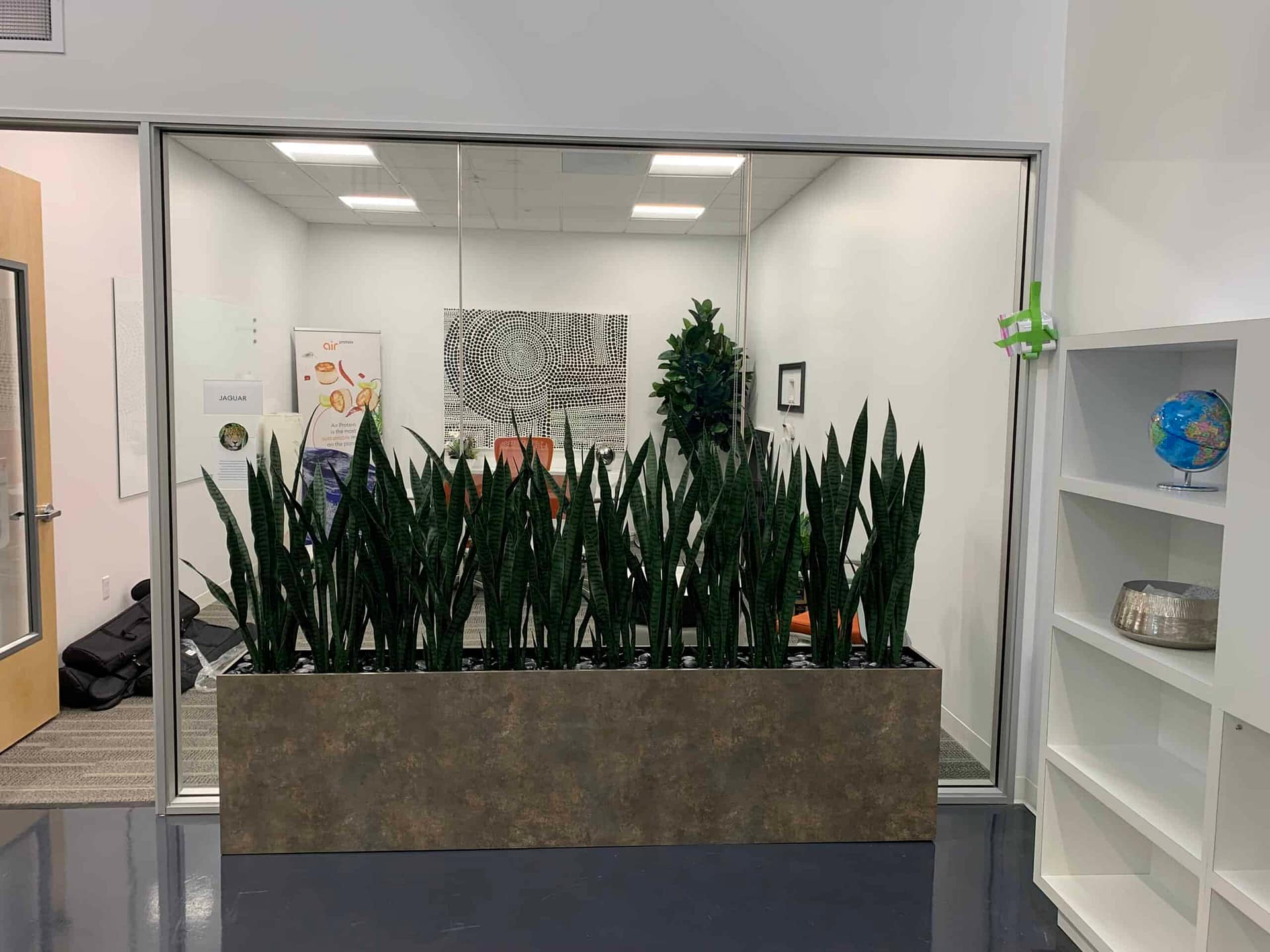 Pacific Silkscapes Indoor Plant Display Artificial Sansevieria in commercial office