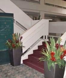 Pacific Silkscapes Indoor Plant Decor hospitality plantscapes