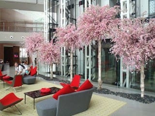 cherry blossom in lobby