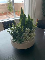 Artificial succulent arrangement Artificial succulent arrangement