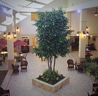 20 ft commercial ficus tree custom commercial artificial trees