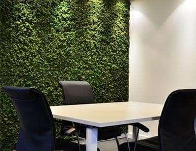 A sleek conference room featuring a vibrant boxwood green wall