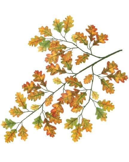 Acorn Leaf Spray 5535OR RE