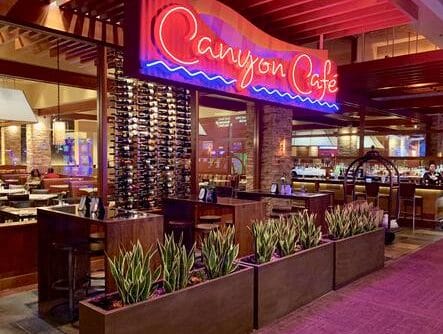Sansevieria Casino Plantscaping at Canyon Creek Cafe e1628890706590