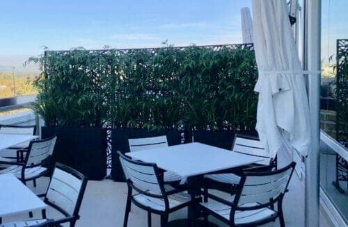 Pacific Silkscapes outdoor patio with bamboo in 3 lateral planters for outdoors