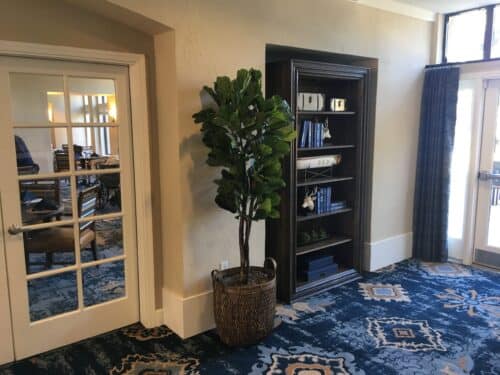 Custom Fiddle Leaf fig in basket