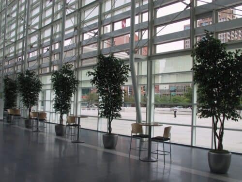 Indoor space with large glass windows and potted trees, showcasing modern interior design and natural light. custom artificial trees for commercial lobby