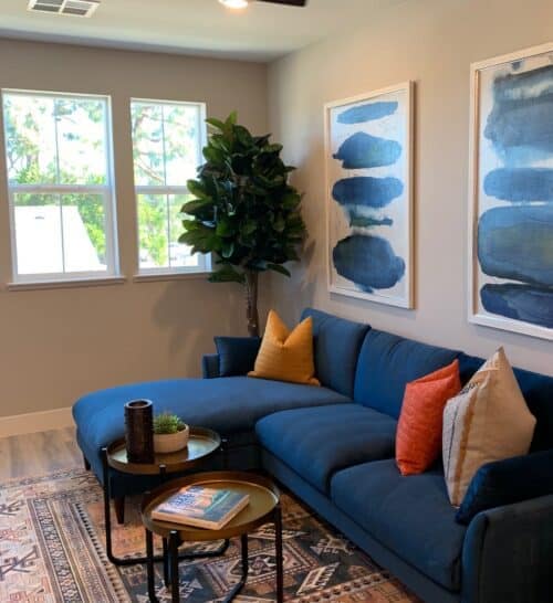 Rubber Tree in model home Rubber Tree in model home