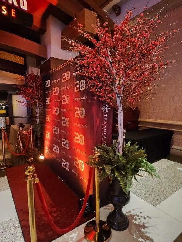 Red Quince Blossom Trees in Casino