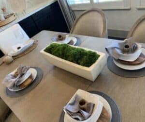 Mood Moss Arrangement Mood Moss Arrangement plants for staging a home