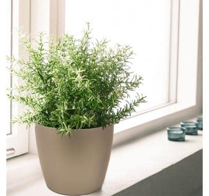 Lechuza harrison planters