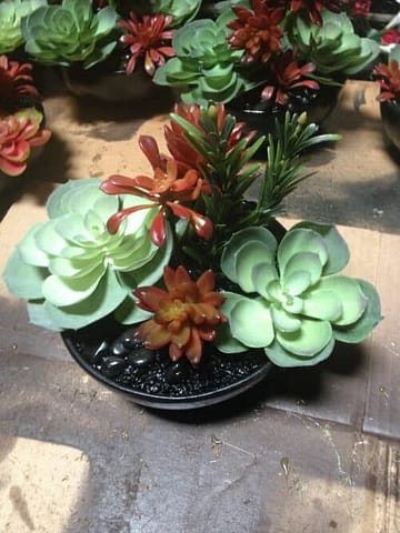 Succulents in small black bowl Faux Succulents in small black bowl