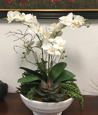 White orchids and succulents White orchids and succulents silk flower arrangements