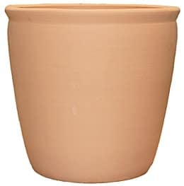 China bell terracotta planter