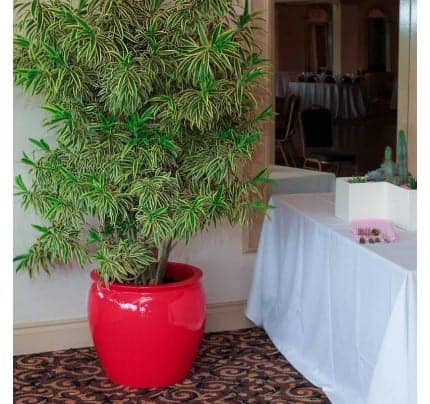 Fiberglass fishbowl round planter
