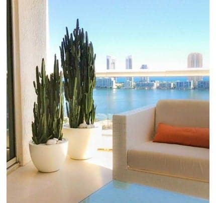 Fiberglass round planter Pacific Silkscapes Privacy Policy