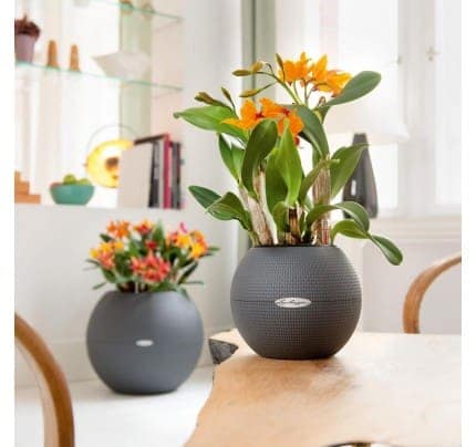 Lechuza Puro round planter