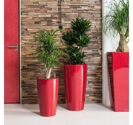 Lechuza Rondo Planters choosing the right size planter