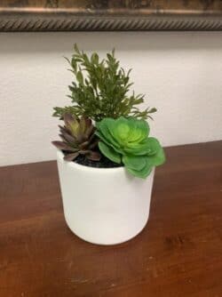 A succulent in a small ceramic bowl artificial succulents in 6inch bowl