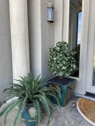 Artificial Mahonia plant