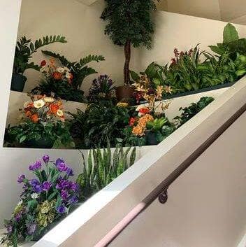 Indoor plantscaping at lobby of 1015 K Street in, Sacramento Indoor artificial plantscaping with CA silk flowers