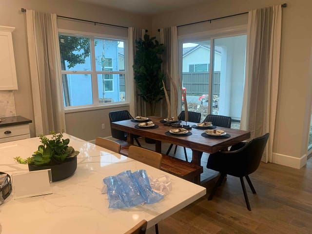 Model Home with fiddle Leaf and succulent bowl Model Home with fiddle Leaf and succulent bowl