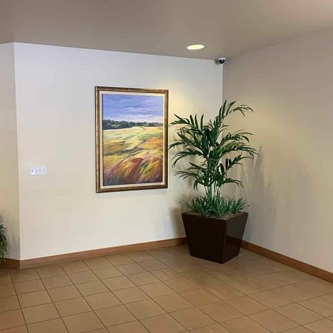 Bromeliad Plants and Kentia Palm Artificial Bromeliad Plants and Kentia Palm