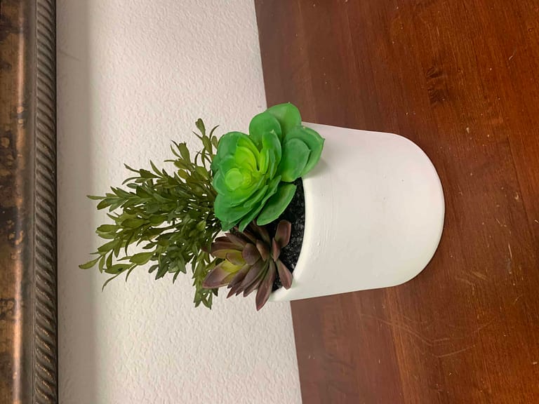 artificial succulents in 6inch bowl