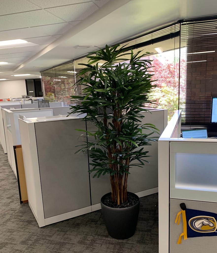 Artificial Rhapis Palm Tree in Office artificial Rhapis Palm Tree