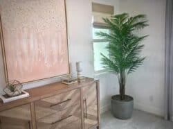 Areca-Palm-300x223 Areca Tropical Palm Tree FAQ's regarding artificial plantsFAQ's about artificial trees