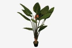 Bird-of-Paridise-Plant-300x198 Artificial Bird of Paridise