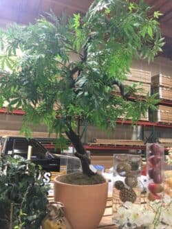 Artificial Custom Japanese Maple Artificial Custom Japanese Maple