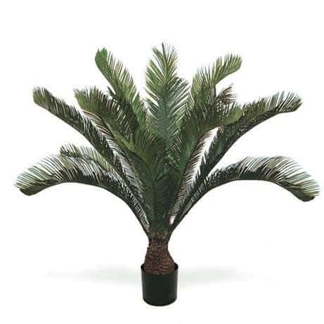 Cycas-Palm-1-300x300 Artificial Cycas Palm Silk floor plant