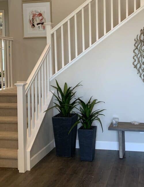 Faux Agave Plant