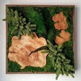 Preserved moss wall art Testimonials