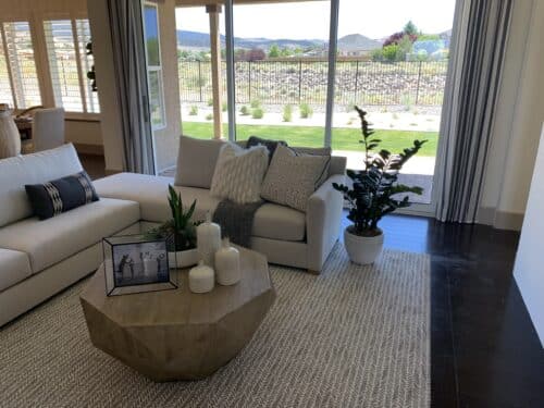 Model Home plants plants for staging a home
