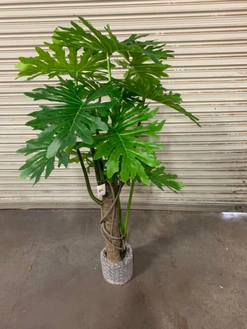 Artificial Plumeria Split Leaf silk floor plant