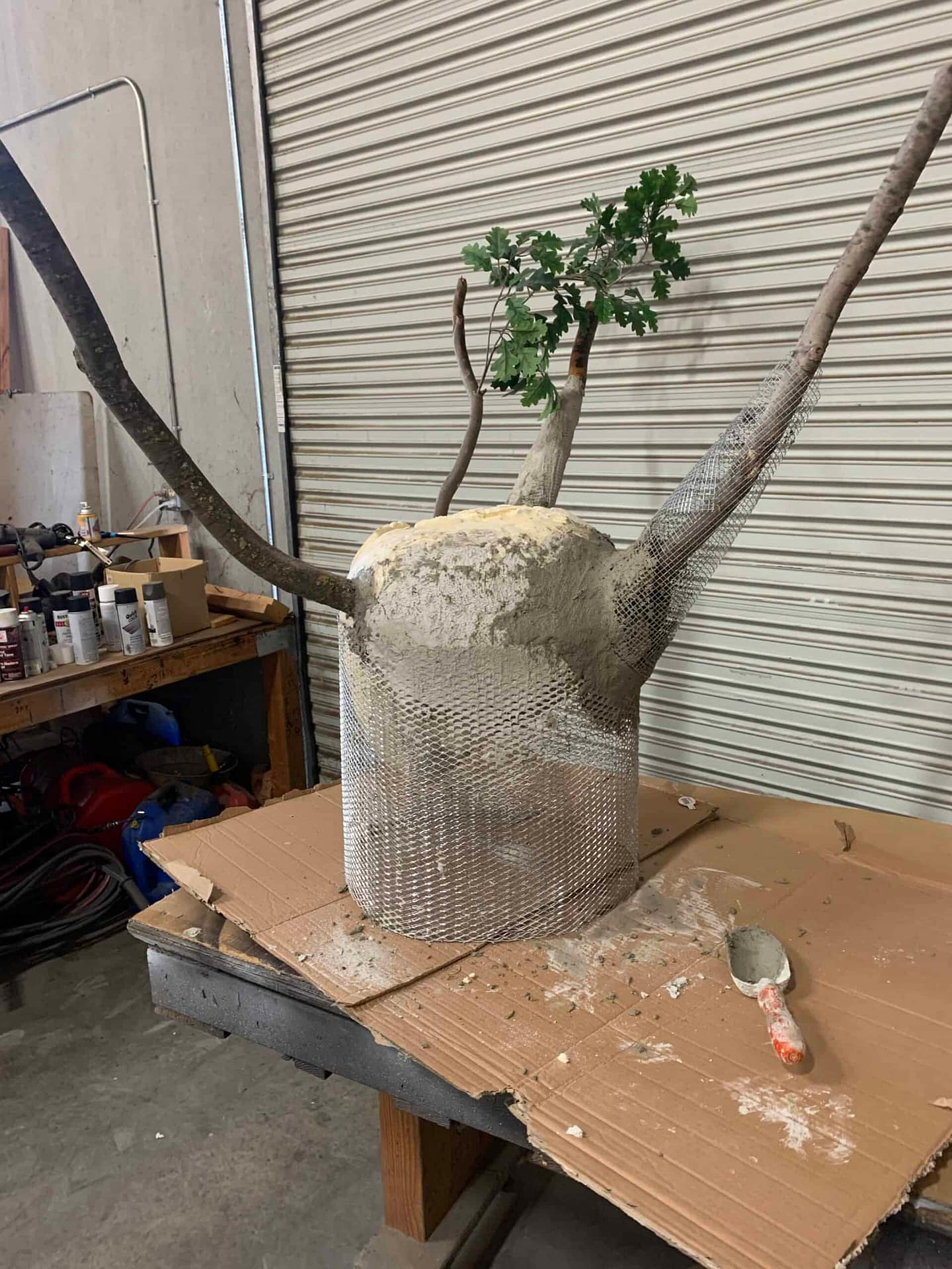 cement tree trunks
