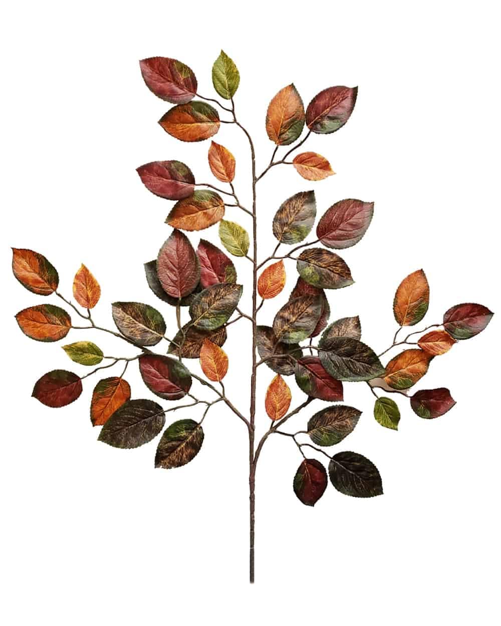 Dried autumn leaves on a branch, fall foliage display.