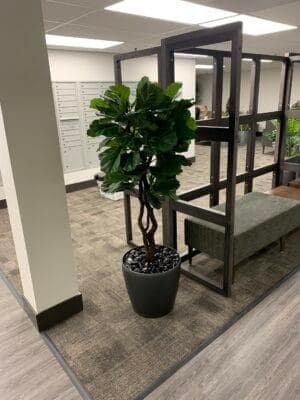 artificial Fiddle Leaf Fig Tree artificial Fiddle Leaf Fig Tree