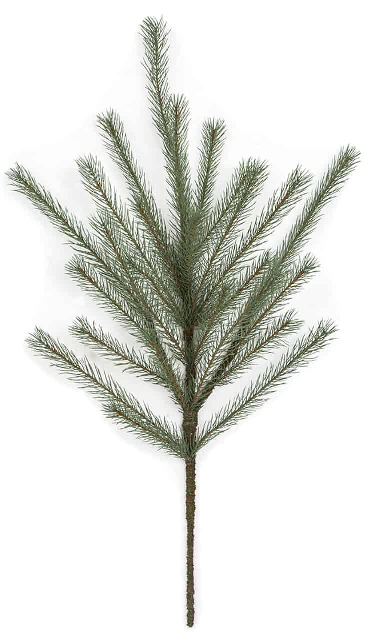 Pine branch with green needles, ideal for holiday and seasonal decorations.