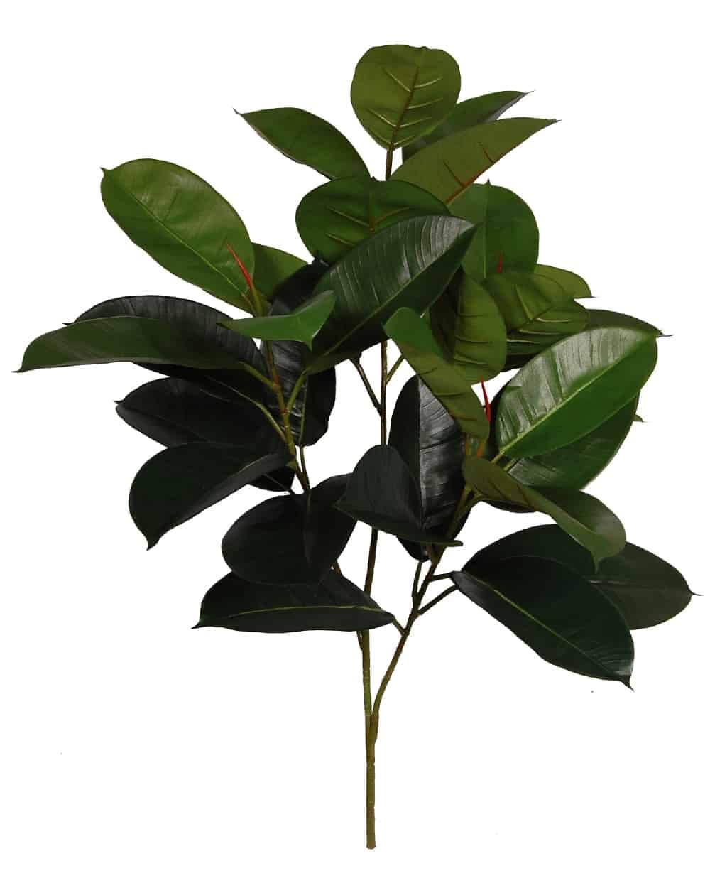 Magnolia leaves for silk floral arrangements and home decor.