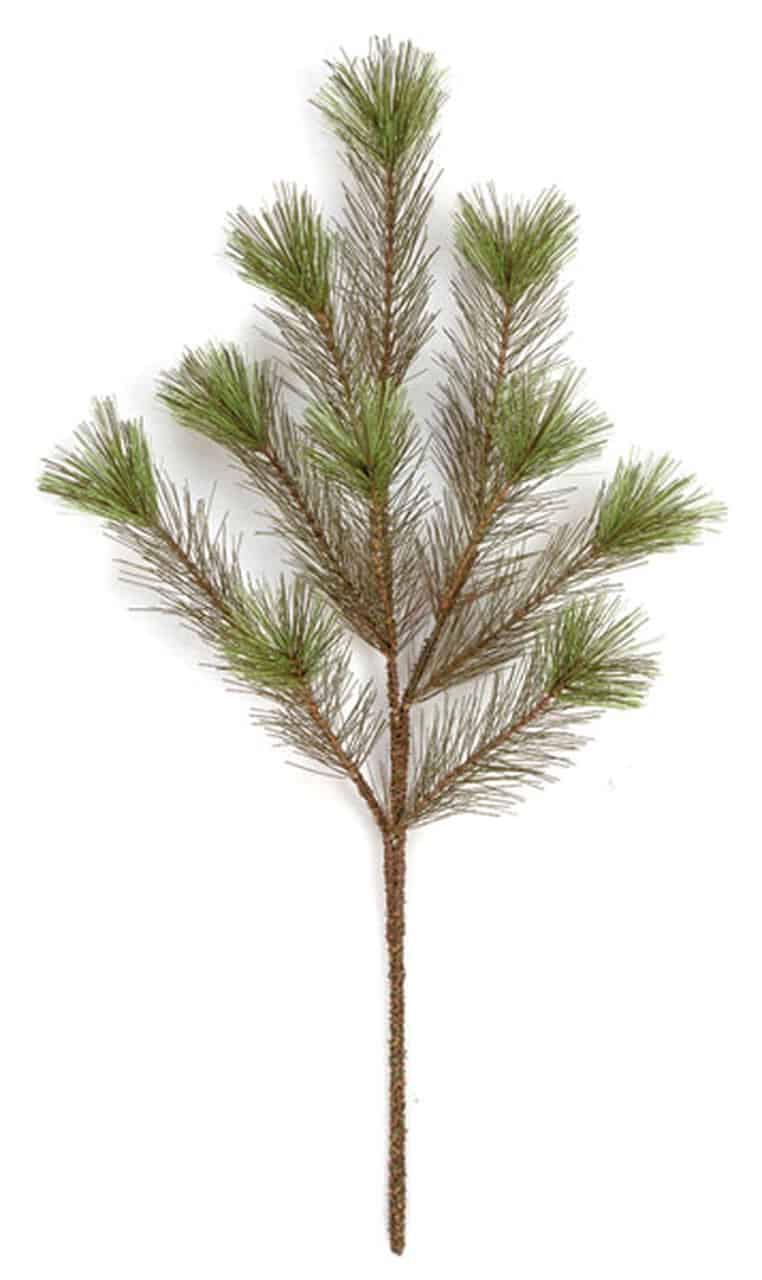 Fresh pine branch with green needles, ideal for holiday decor.