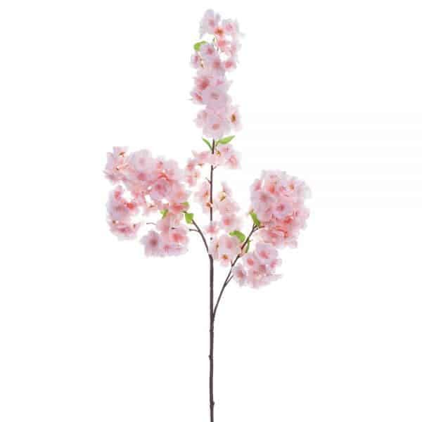 Beautiful pink cherry blossom branch with delicate flowers, perfect for spring decor.
