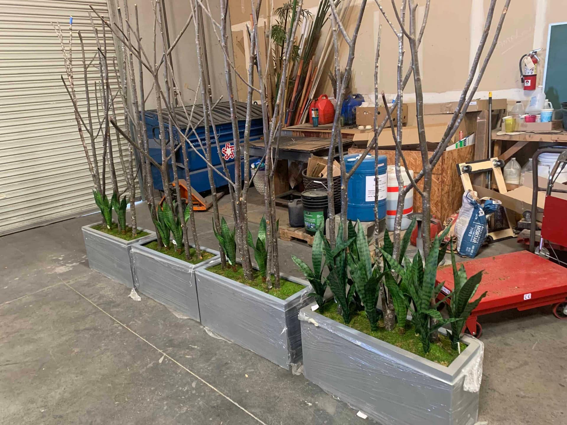 Natural trunks with Artificial Sansevieria