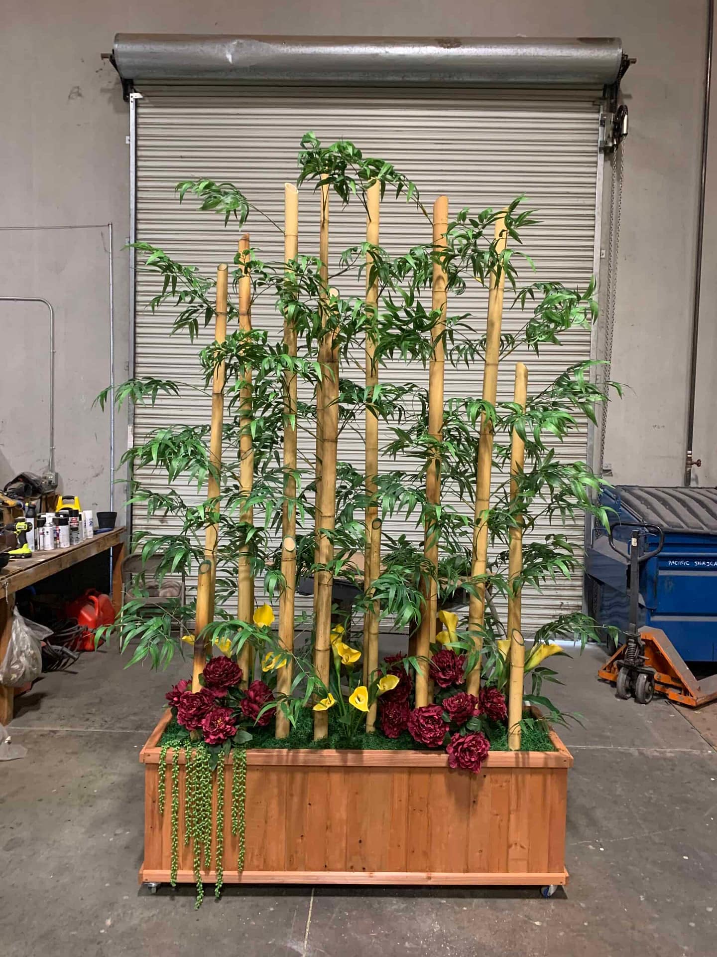 bamboo in large planter