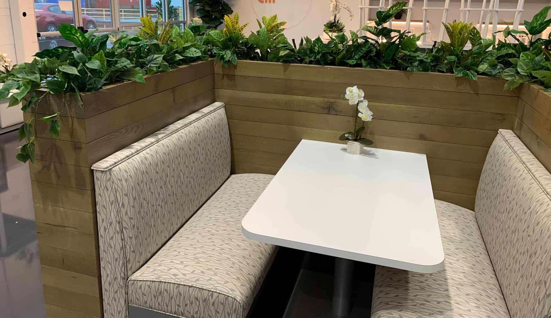Trailing plants include Pothos, Crotons and Diefeffenbachia