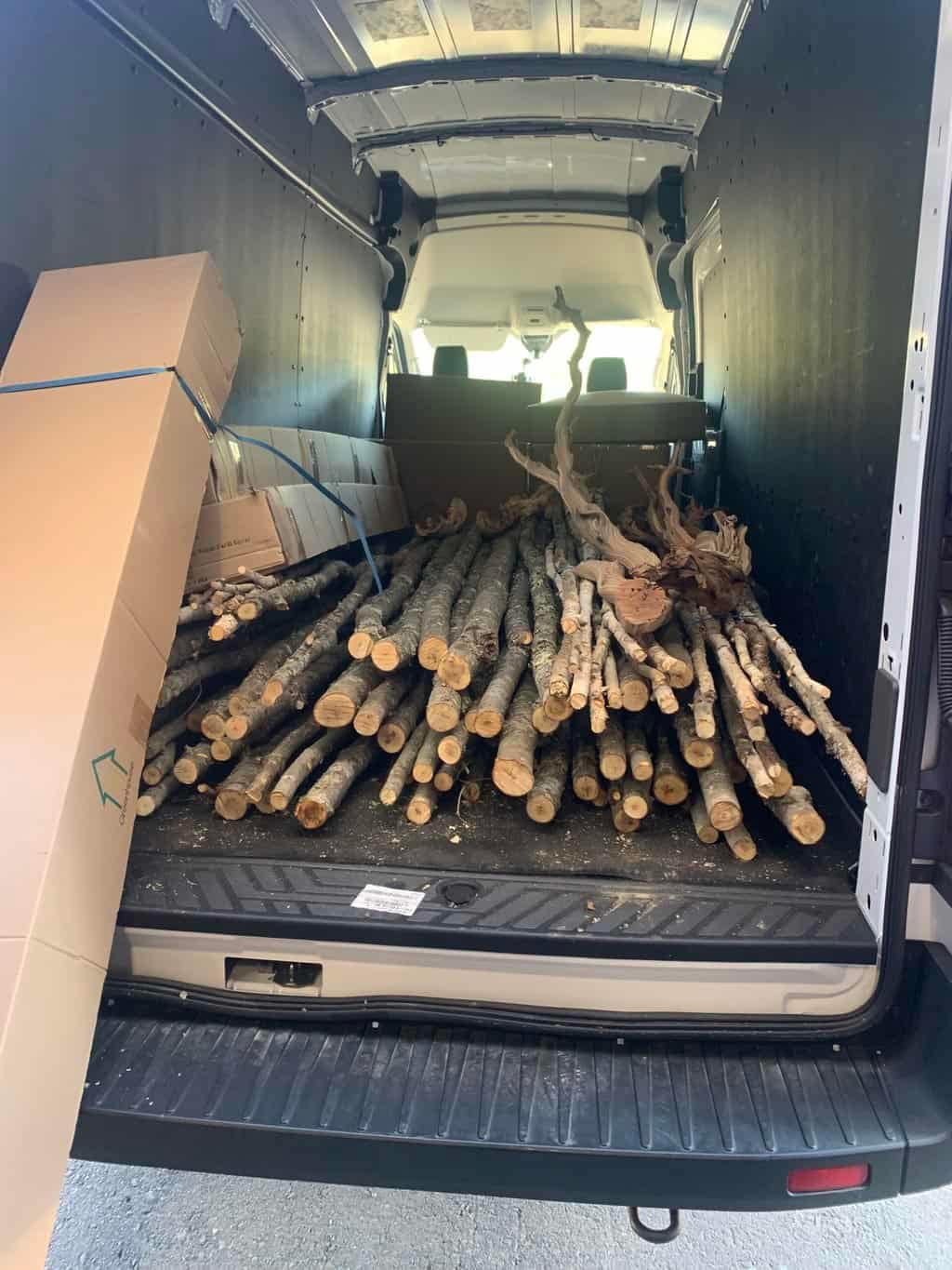 Silk tree branches loaded in a delivery van, ready for installation or display. Perfect for adding n.