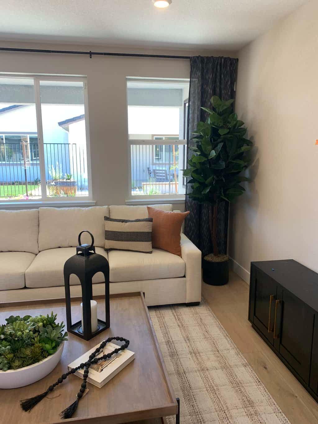 Comfortable sofa with decorative pillows, potted plant, and stylish curtains in a modern living space.