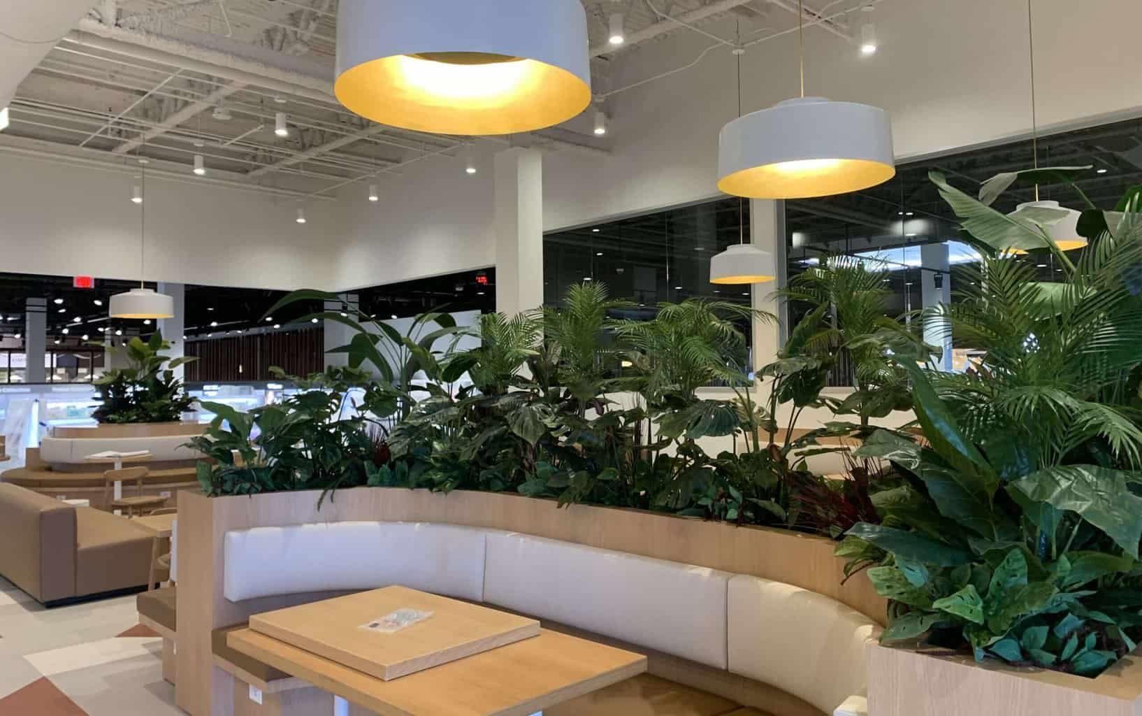 Bright, modern indoor space with tropical plants and stylish lighting fixtures.